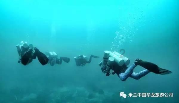 燃烧吧大脑免广告最新版