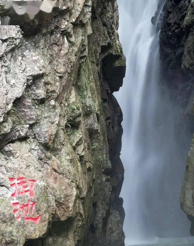 顶级寿司店